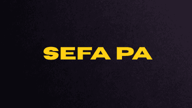 Resumos Esquematizados - SEFA PA