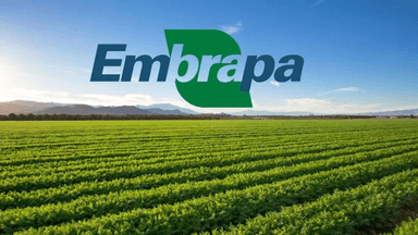 EMBRAPA | Analista Químico