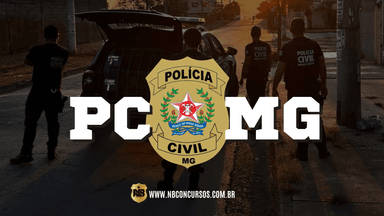 INVESTIGADOR - PCMG