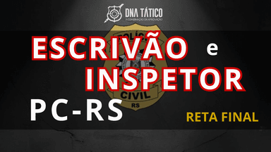 Plano de Estudo Escrivão e Inspetor de Polícia PC-RS 2025